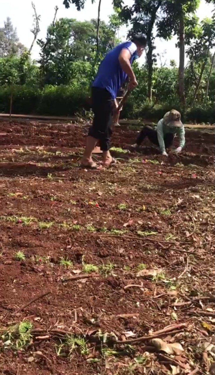 Cán bộ và nhân dân thôn 2, xã Cư Suê đẩy mạnh thực hiện Chỉ thị 23 của Huyện ủy Cư M'gar
